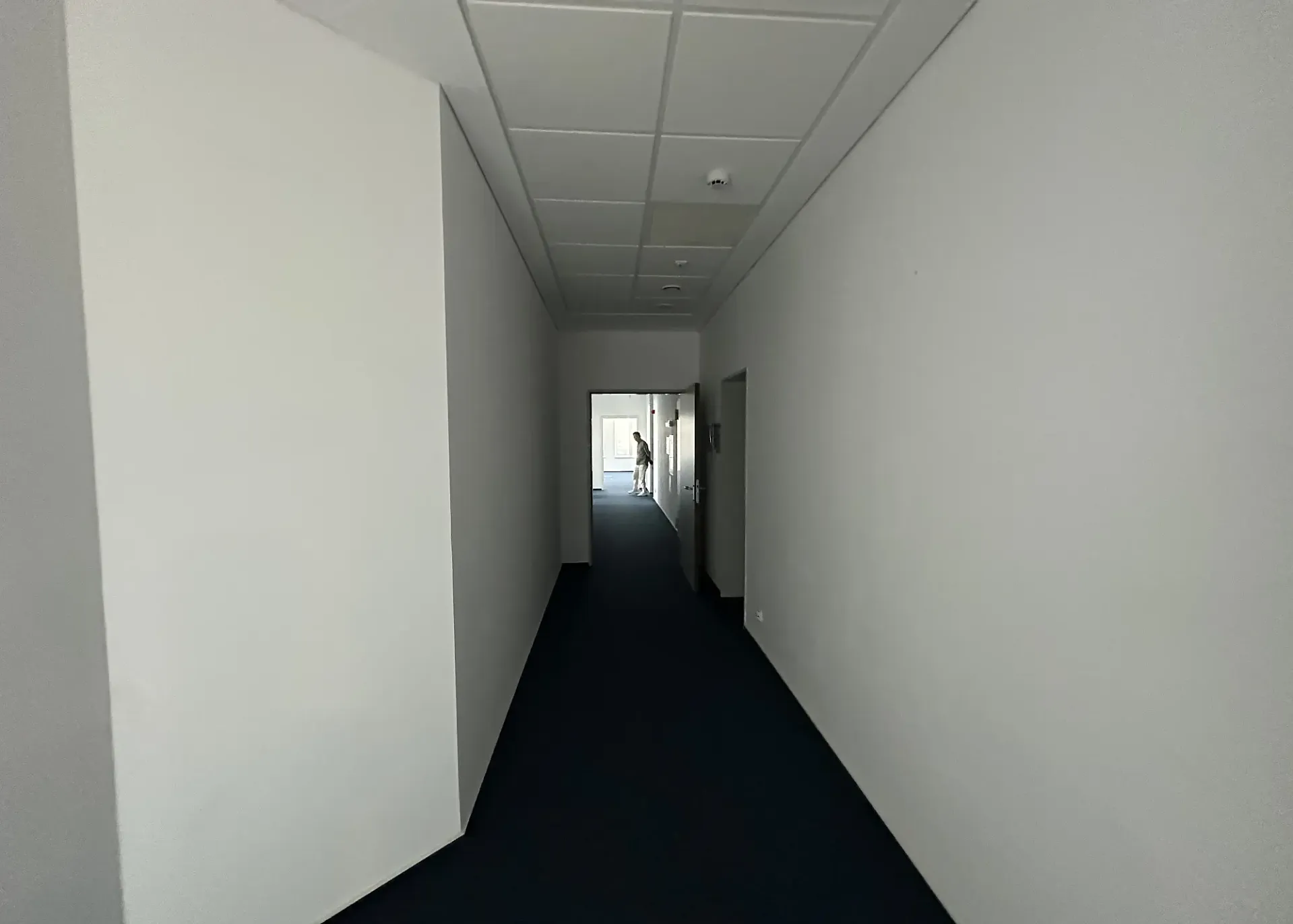 Kingston - et.5 - 249m2 (6).webp