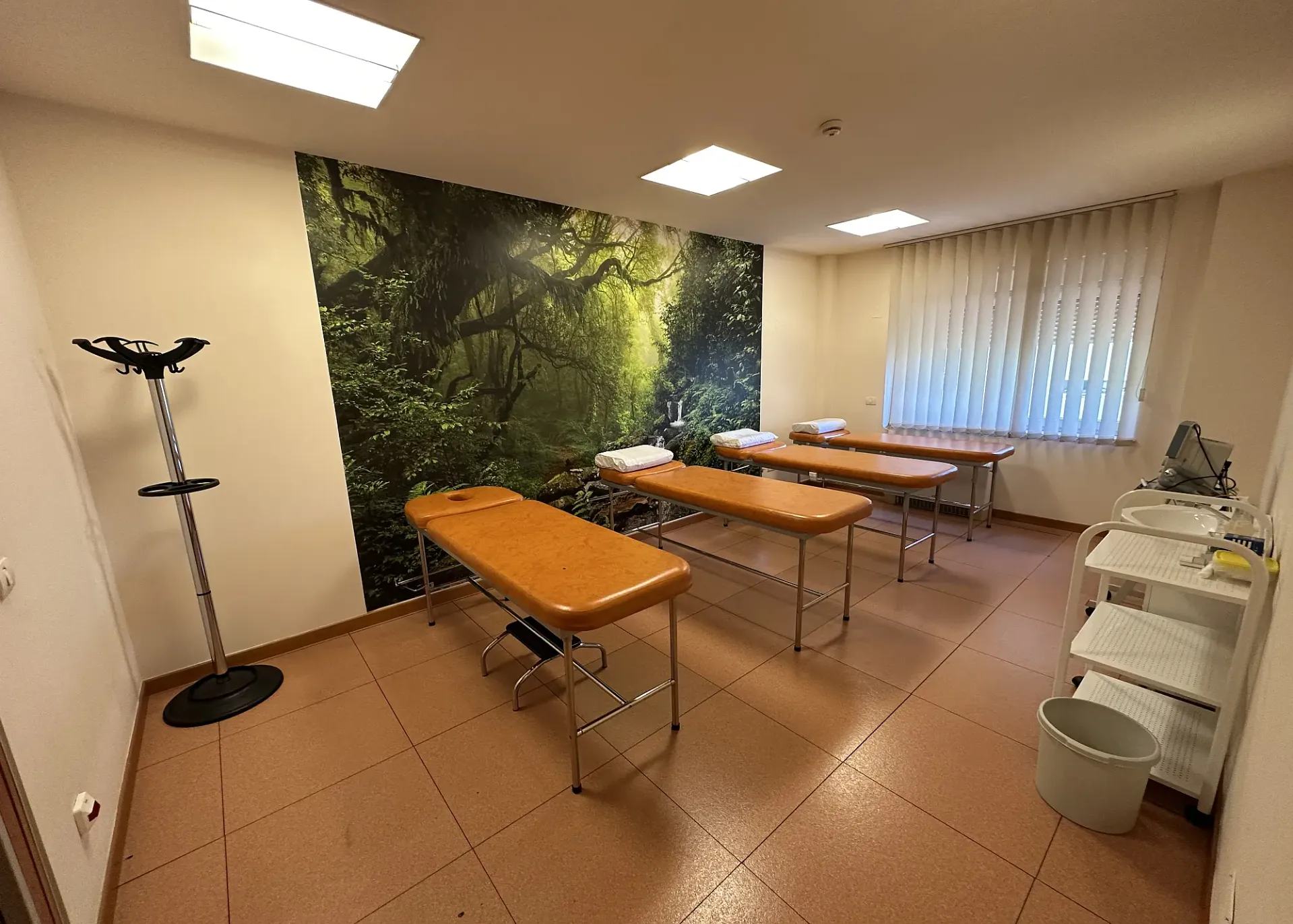 Murmurului 2-4 - et.1 - 295m2 (2).webp