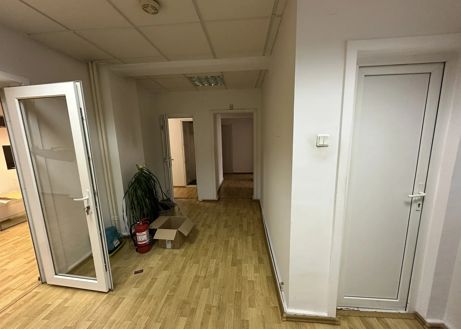 Diplomat BC - parter - 164m2 (2).webp