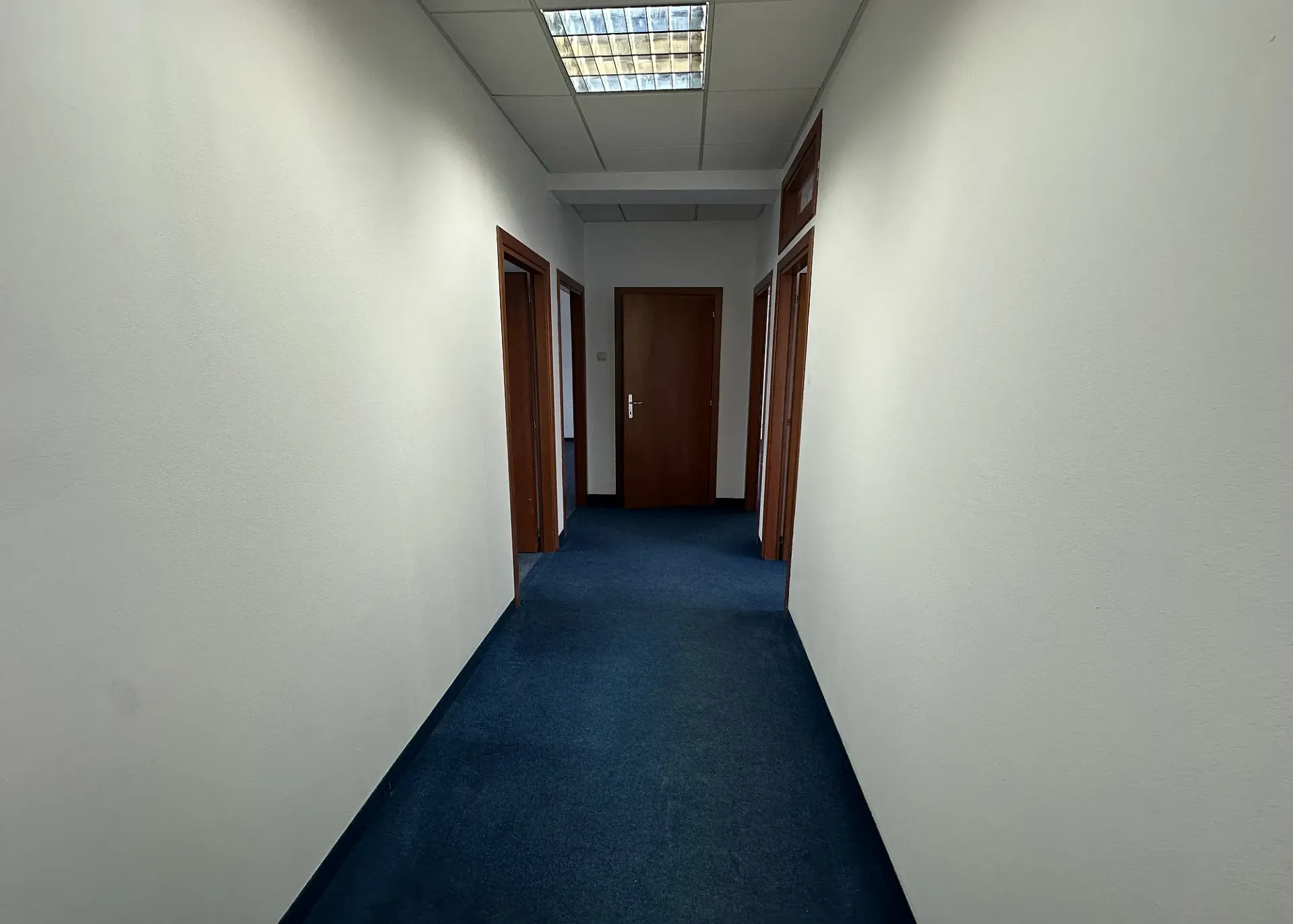 Popisteanu 16 - et.2 - 230m2 (8).webp