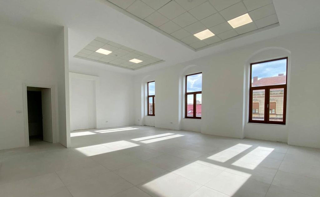 Spatii de birouri de inchiriat in Palatul Lugoj, imagine birou open space